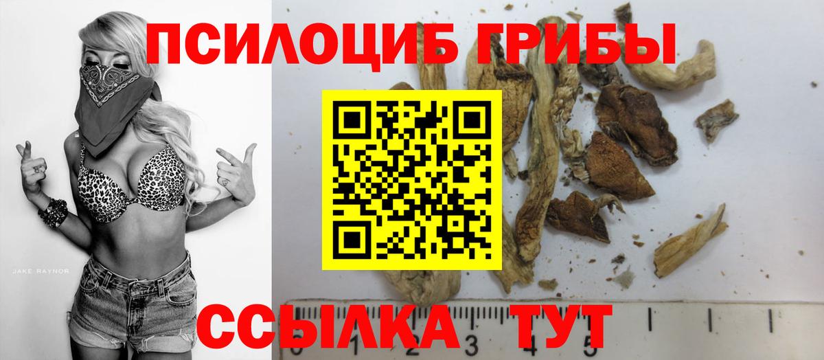 Тобольск  Галлюциногенные грибы прущие грибы  Галлюциногенные грибы мухоморы  Вход с VPN 