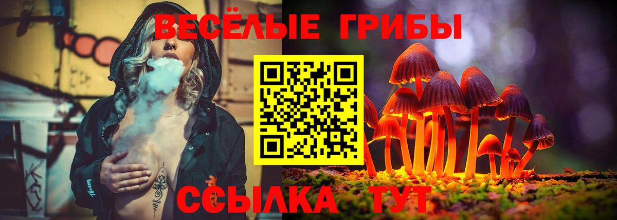 Псилоцибиновые грибы GOLDEN TEACHER Тобольск